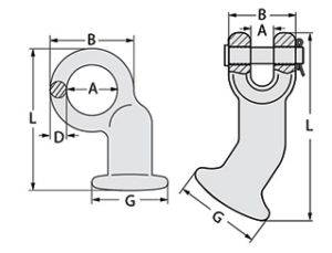 Elephant Foot Dimensions