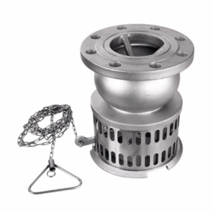 Stainless Steel Flanged Foot Valve