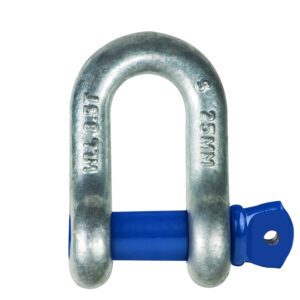 Grade S Shackle - Dee Type, Blue Screw Pin