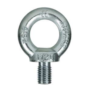 Eye Bolt (DIN 580)