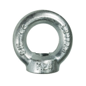 Eye Nut (DIN 582)